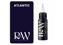 Encre de Tatouage RAW Platinum, st&eacute;rile, coloris : Atlantic