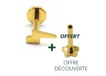 Labret Titanium PVD Gold Wewnętrzny sterylny zamek błyskawiczny | Itc