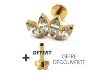 Labret Titane PVD Gold Interne Stérile motyw markizy 4 Strass | Itc