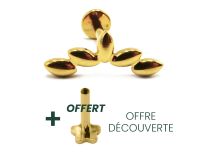 Labret Titanium PVD Gold Wewnętrzny sterylny wzór migdałowy | Itc