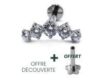 Labret Titane Interne Stérile motyw Arc de 5 Strass | Itc