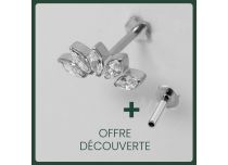 Labret Titane Interne Stérile Motif Couronne de 5 Strass Blanc | Itc