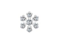 Accessoire interne Titane 0.9 motif flocon de neige | iTC